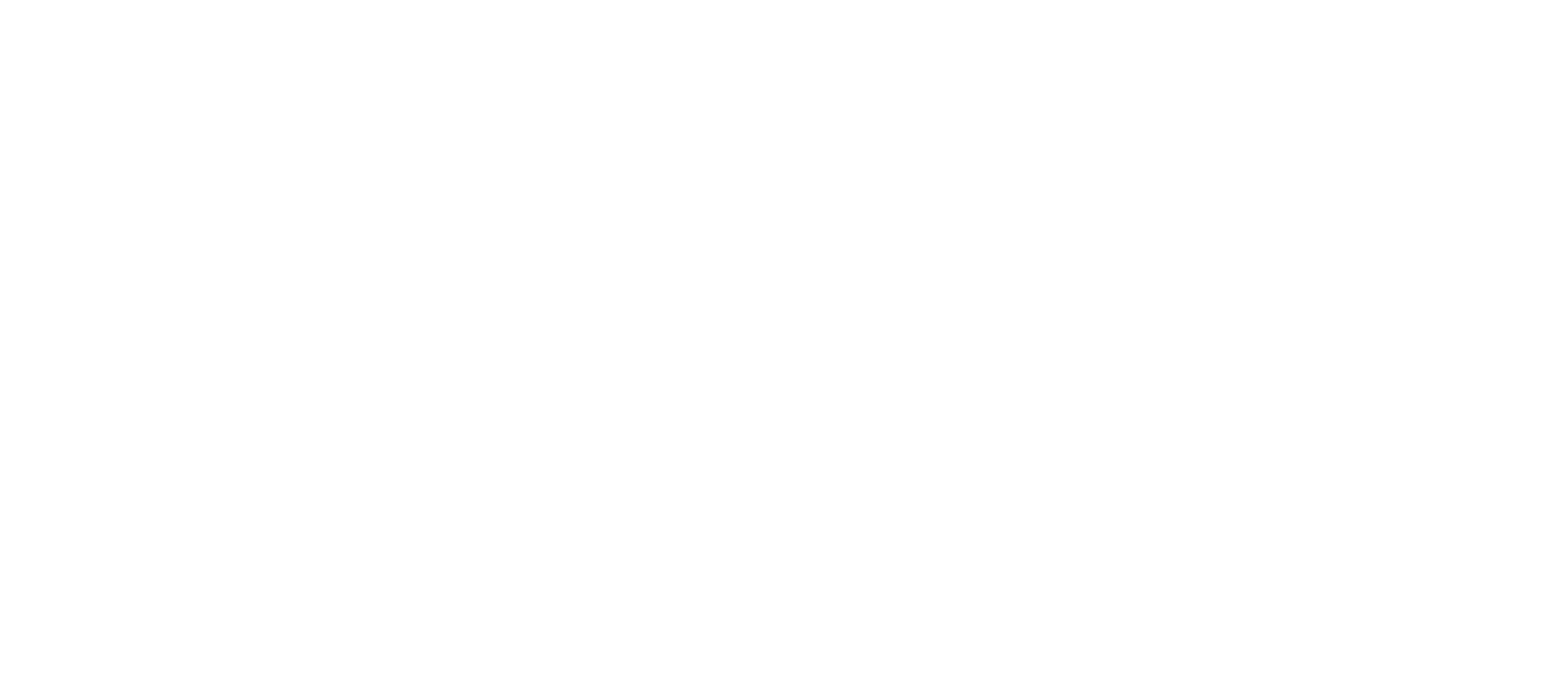 Fundación MSM logo blanco