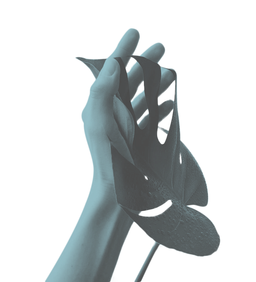 Transparencia mano