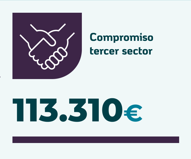 tercer sector